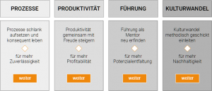 Exzellenzbereiche